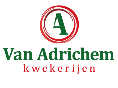 Logo - Kwekerij Van Adrichem - van der Schans Design - Den Hoorn