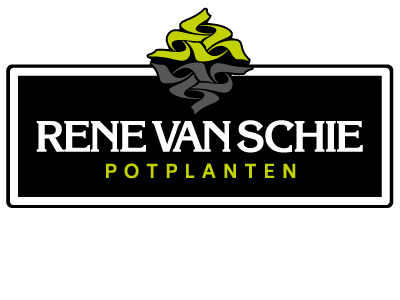 Logo Rene van Schie Potplanten